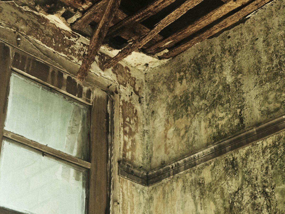 Water-damaged ceiling with exposed beams